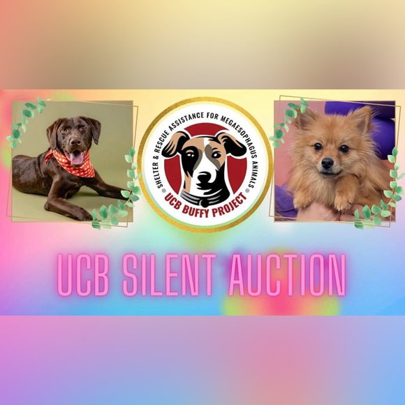 Blue Q Accessories - DONATED to UCB Silent Auction NWT Blue Q DOGS! Womens Crew Socks